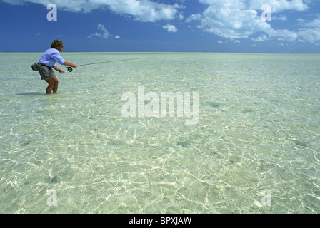 A saltwater fly-fisherman casts in the clear waters of the Bahamas. Stock Photo