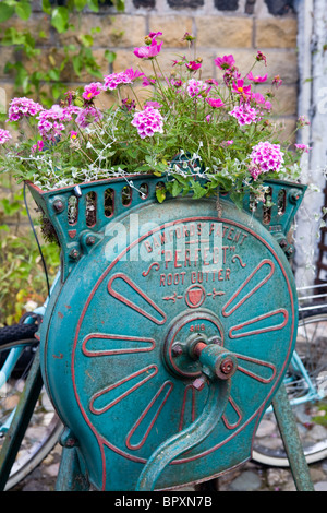 An old Root Cutter put to a new use as a floral display Stock Photo