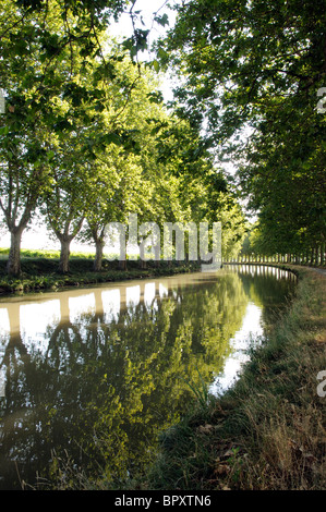 Plane trees line the riverbank on the Canal du Midi at Argeliers in the Languedoc Roussillon region of southern France Stock Photo