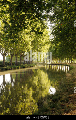 Plane trees line the riverbank on the Canal du Midi at Argeliers in the Languedoc Roussillon region of southern France Stock Photo