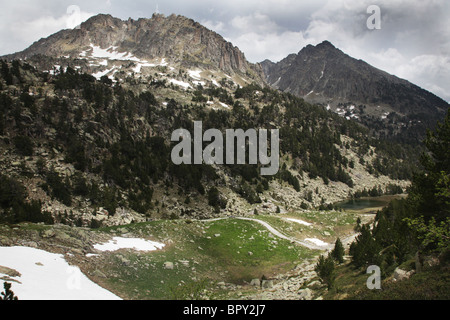 High Alpine forest and mountain cirque on Pyrenean Traverse track at D'Amitges in Sant Maurici National Park Pyrenees Spain Stock Photo