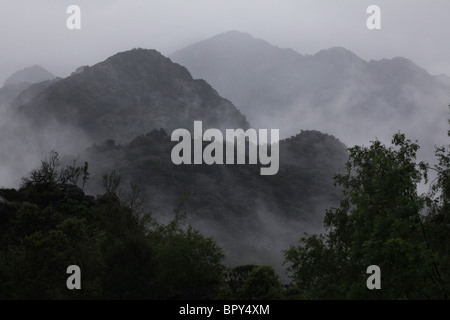 Rising mist from trees low storm cloud and heavy rain near Alins in Vall Ferrera Valley Andorra border Pyrenees Spain Stock Photo