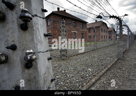 Barbed wire, electrical contacts and accomodation blocks at Auschwitz Concentration Camp, Poland Stock Photo