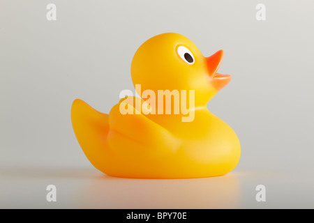 Yellow rubber duck Stock Photo