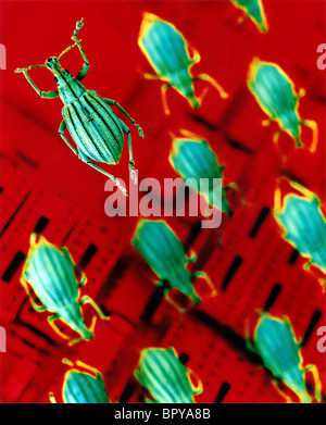 Computer bugs, computer virus, and software virus are playfully captured in this image. Stock Photo
