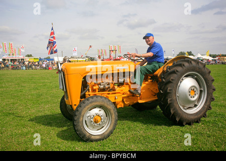 Massey Ferguson 35 vintage tractor Stock Photo