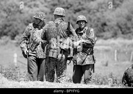 Soldiers of the Waffen SS in Normandy, 1944 Stock Photo: 94209106 - Alamy