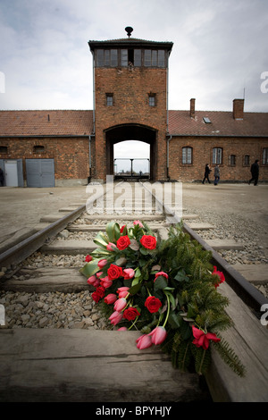 Red flowers on the train tracks at Birkenau Concentration Camp, Poland. Stock Photo