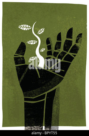 A human hand with a seedling growing from it Stock Photo