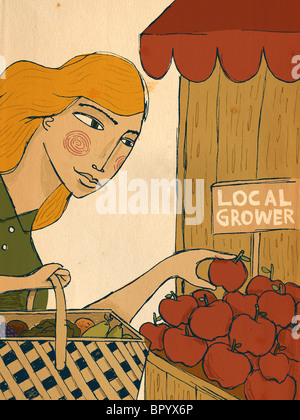 A woman picking apples from a local grower Stock Photo