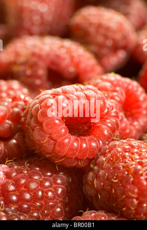 Macro Fruit: Ripe raspberry extreme close-up, black background ...