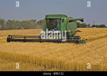 The last wheat harvest on rich black land  in the Dallas Ft Worth Metropolitan area of Texas. Urban sprawl continues. Stock Photo