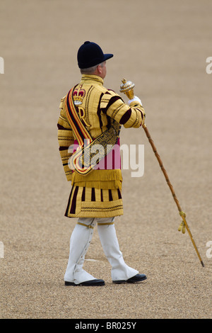 Massed Bands Troop, Drum Majors marching. 'Trooping the Colour' 2010 Stock Photo