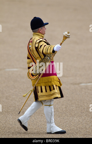 Massed Bands Troop, Drum Majors marching. 'Trooping the Colour' 2010 Stock Photo