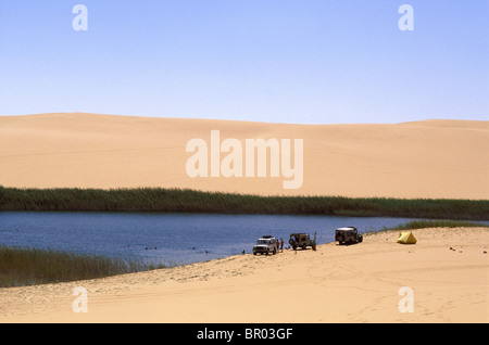 Swimming in ake formed by manmade bore hole, Bir Wahed, Great Sand Sea near Siwa Oasis. Stock Photo