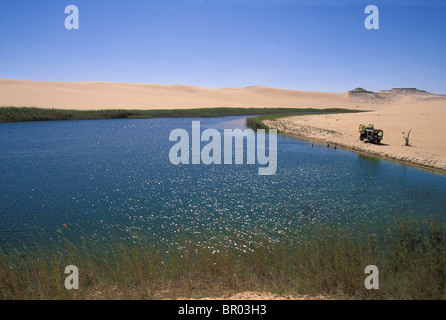 Lake formed by manmade bore hole, Bir Wahed, Great Sand Sea near Siwa Oasis. Stock Photo