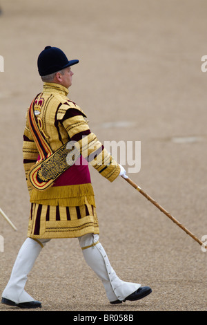 Massed Bands Troop, Drum Majors marching. 'Trooping the Colour' 2010 Stock Photo