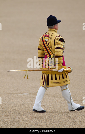 Massed Bands Troop, Drum Majors marching. 'Trooping the Colour' 2010 Stock Photo