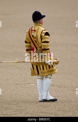 Massed Bands Troop, Drum Majors marching. 'Trooping the Colour' 2010 Stock Photo