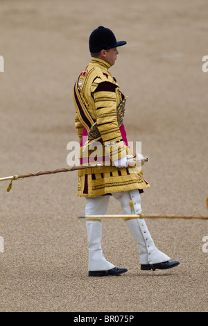 Massed Bands Troop, Drum Majors marching. 'Trooping the Colour' 2010 Stock Photo