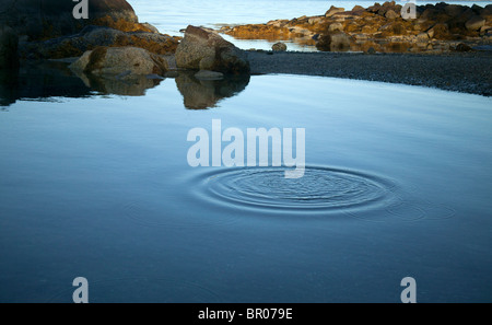 water lagoon with rings of waves radiate away from thrown pebble Stock Photo