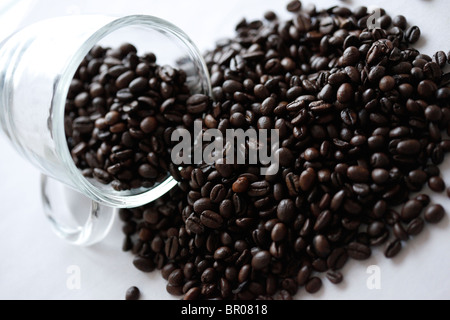 Coffee Beans Product photos Stock Photo