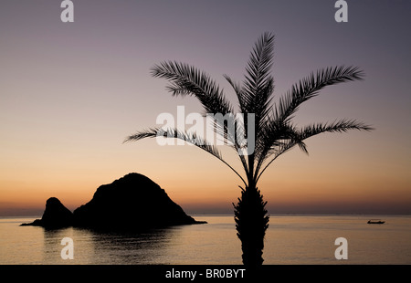 UAE, Fujairah, Sandy Beach Resort. Snoopy Island and palm tree in silhouette at sunrise.