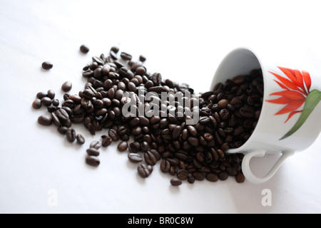 Coffee Beans Product photos Stock Photo