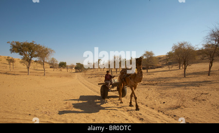 Camel cart near Manvar on the edge of the dunes Stock Photo