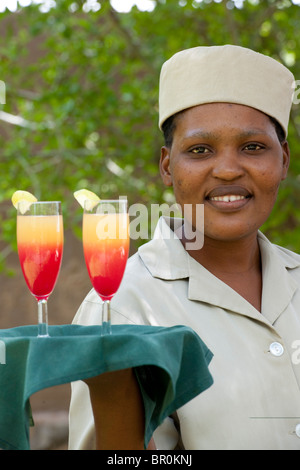 Waitress, Mashatu Main Camp, Mashatu Game Reserve, tuli block, Botswana Stock Photo