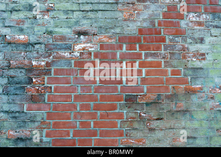 A crack in an old brick wall has been cut back and repaired with new red bricks Stock Photo