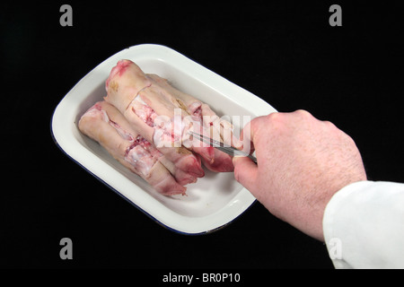 Close up view of partially dissected pigs trotters after being used in a UK school science lesson. Stock Photo