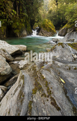 New Zealand, South Island. Crocked River flowing through temperate rainforest. Stock Photo