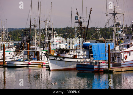 NEWPORT, OREGON, USA - fishing boats in harbor, on Oregon coast. Stock Photo