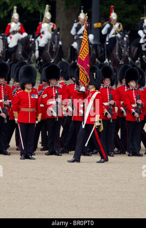 The Ensign to the Colour has just received the flag. 'Trooping the Colour' 2010 Stock Photo