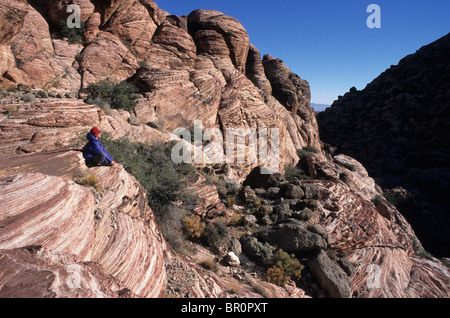 Rock climber. Red Rocks, Las Vegas, Nevada, USA. Stock Photo
