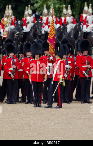 The Ensign to the Colour has just received the flag. 'Trooping the Colour' 2010 Stock Photo