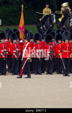 The Ensign to the Colour has just received the flag. 'Trooping the Colour' 2010 Stock Photo