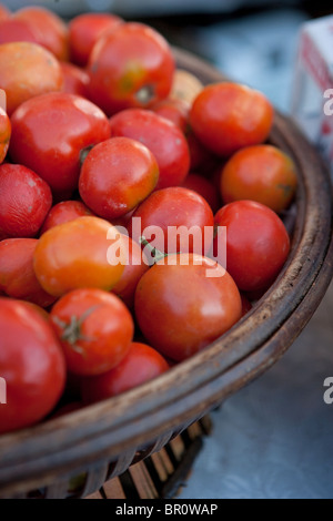 fresh organic tomatoes from farm in a basket Stock Photo