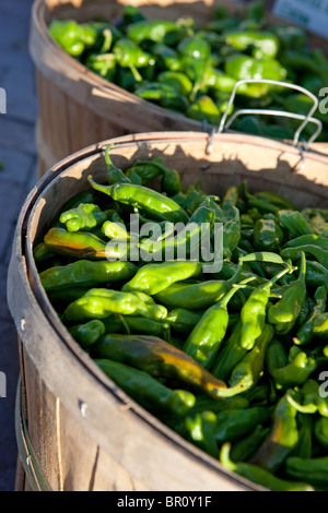 freshly picked green chile glowing in the morning sun in baskets, Santa Fe Farmer's Market, New Mexico Stock Photo