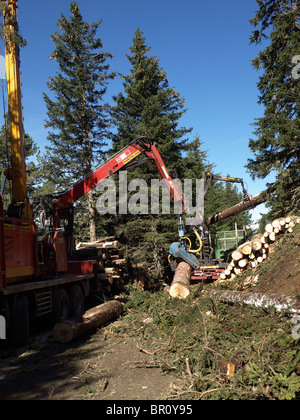 Mechanised logging operation one machine strips bark while another loads a truck in the background on a mountain in Austria Stock Photo