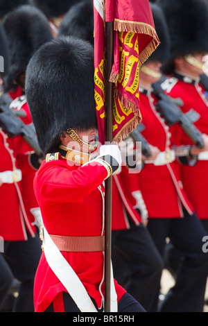 The Colour being trooped by the Escort to the Color. 'Trooping the Colour' 2010 Stock Photo