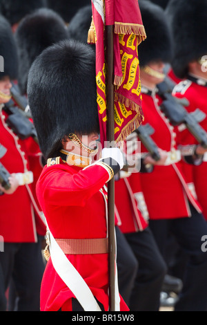 The Colour being trooped by the Escort to the Color. 'Trooping the Colour' 2010 Stock Photo