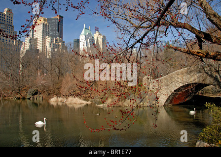 Manhattan from Central Park, New York USA Stock Photo