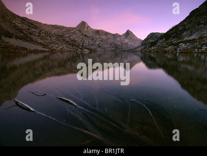 A dead tree forms an erie skeleton partially submerged in Evolution Lake, Kings Canyon National Park, California. Stock Photo