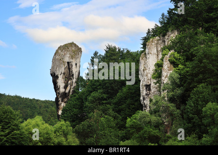 'Hercules' Club' Rock. Ojcow National Park, Poland. Stock Photo