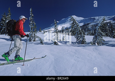Alan Kearney, a backcountry skier ascends the lower slopes on the south side of Mt. Adams, in the Mt. Adams Wildedrness, Washing Stock Photo