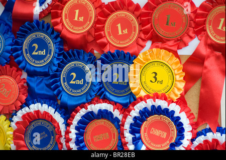 First, second and third prize rosettes on a sheep pen at a county fair ...