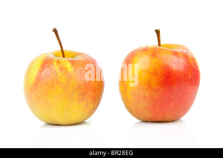 two juicy red with yellow apples with water drops isolated on white background Stock Photo
