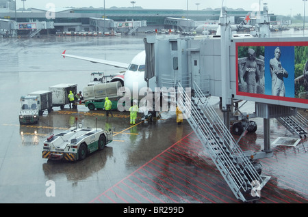 Ground crew unloading an Airbus A320 from Air Asia at Changi Airport in Singapore on a rainy day. Stock Photo